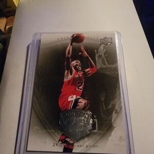 Chicago Bulls Trading Card with Silver Accents